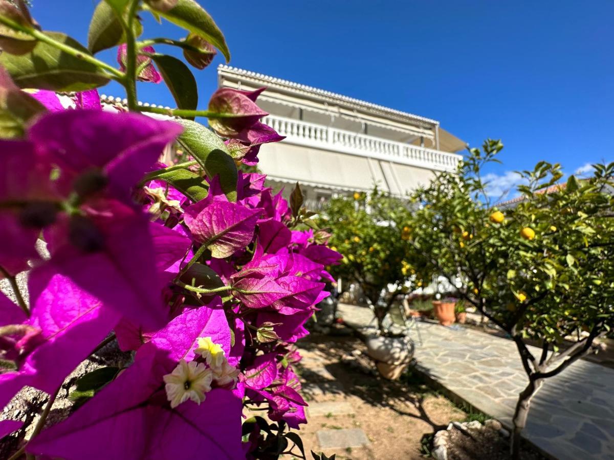 Kamelia Hotel Spetses Town Exterior photo